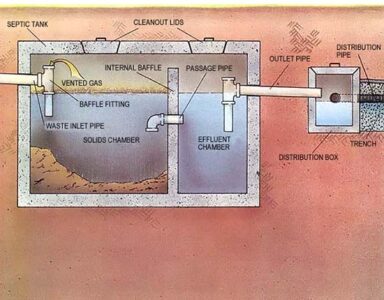 Secrets of the Septic System Image